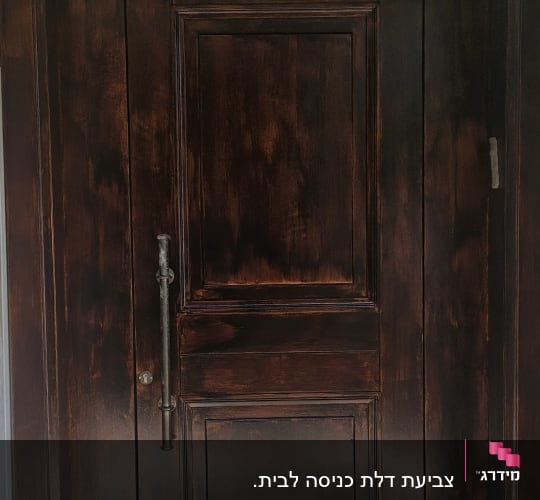 דלת עץ כהה עם ידית מתכת על רקע קיר בהיר